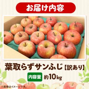 ふるさと納税 弘前市 りんご【27年1月発送】...の詳細画像3