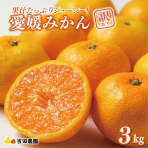 ふるさと納税 愛南町 先行受付 訳あり 愛媛みかん 3kg 温州 みかん mikan 蜜柑 ミカン ...