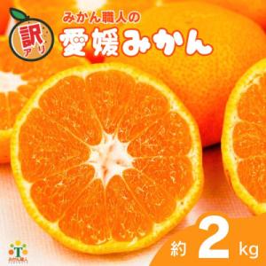 ふるさと納税 愛南町 期間限定 訳あり 愛媛みかん 2kg 発送9月中旬から1月中旬 みかん職人武田屋