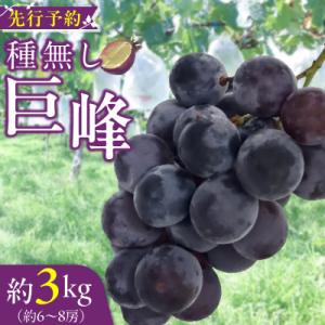 ふるさと納税 小牧市 種無し巨峰 約3kg(約6〜8房) 2026年 先行受付 種なしぶどう [098O03]