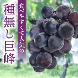 ふるさと納税 小牧市 種無し巨峰 約3kg(約...の詳細画像1