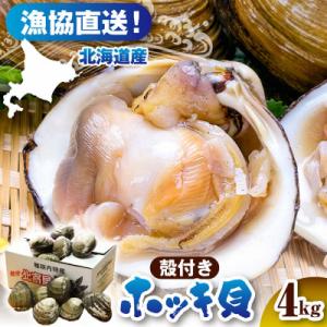 ふるさと納税 豊富町 【数量限定】 獲れたて直送 ホッキ貝 約4kg