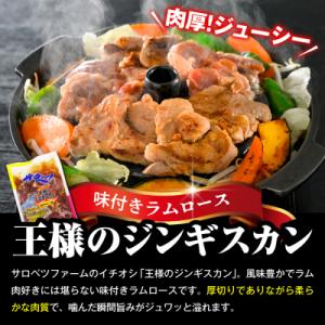 ふるさと納税 豊富町 焼肉ジンギスカンセット【...の詳細画像1