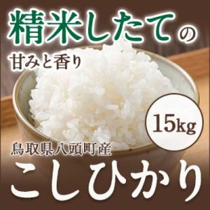 ふるさと納税 八頭町 【令和7年産米】特別栽培米コシヒカリ15kg
