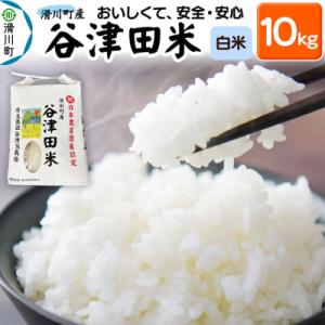ふるさと納税 滑川町 白米 埼玉県滑川産のお米 谷津田米 10kg 令和7年産|19_nym-011...