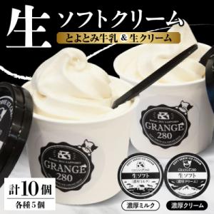 ふるさと納税 豊富町 生ソフトクリーム【濃厚クリーム/濃厚ミルク】計10個