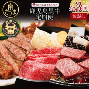 ふるさと納税 南さつま市 【JA食肉かごしま】鹿児島黒牛 お試し定期便 (全3回) 黒毛和牛 牛肉 ...