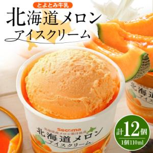 ふるさと納税 豊富町 とよとみ牛乳 北海道メロンアイスクリーム 110ml×12個