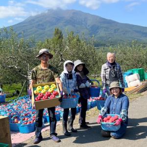 ふるさと納税 弘前市 りんご 家庭用 旬のリン...の詳細画像3
