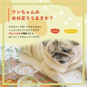 ふるさと納税 四万十市 【6回定期便】四万十鶏...の詳細画像1