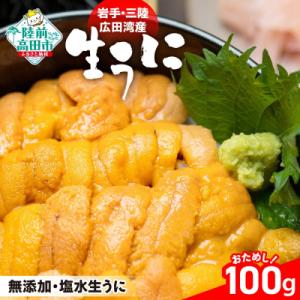 ふるさと納税 陸前高田市 【先行受付】 三陸産 生うに 100g 塩水パック 獲れたその日に出荷 ウ...