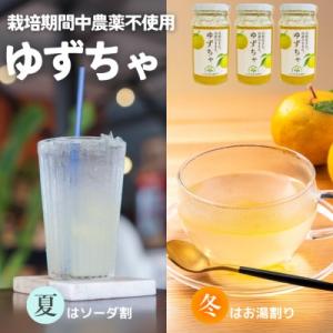 ふるさと納税 関市 ゆずちゃ 3個「ゆずの里上之保」楽しみ方いろいろ!