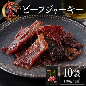 ふるさと納税 宮崎県 宮崎牛 ビーフジャーキー 10袋 (30g×10袋) おつまみ 宮崎県産