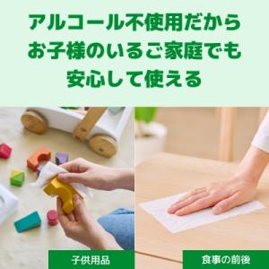 ふるさと納税 富士市 エリエール 除菌できるノ...の詳細画像2