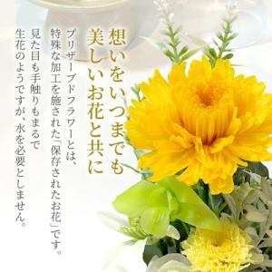 ふるさと納税 古賀市 プリザーブドフラワー仏花...の詳細画像1