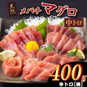 ふるさと納税 室戸市 天然メバチマグロ 【 中トロ 】400g(柵)