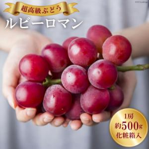 ふるさと納税 宝達志水町 【2026年発送】 ぶどう ルビーロマン 1房 約500g [38601385]