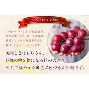 ふるさと納税 宝達志水町 【2026年発送】 ...の詳細画像3