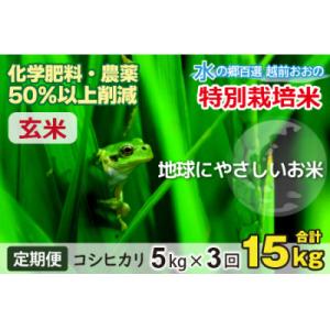 ふるさと納税 大野市 【令和7年産】【3ヶ月定期便】こしひかり 5kg × 3回 計15kg【玄米】「特別栽培米」