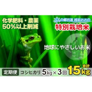 ふるさと納税 大野市 【令和7年産】【3ヶ月定期便】こしひかり 5kg × 3回 計15kg【白米】「特別栽培米」