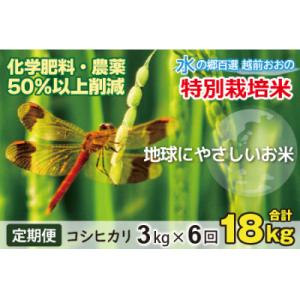 ふるさと納税 大野市 【令和7年産】【6ヶ月定期便】こしひかり 3kg × 6回 計18kg【白米】「特別栽培米」