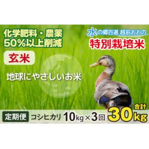 ふるさと納税 大野市 【令和7年産】【3ヶ月定期便】こしひかり 10kg × 3回 計30kg【玄米】「特別栽培米」