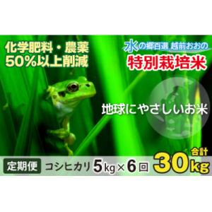 ふるさと納税 大野市 【令和7年産】【6ヶ月定期便】こしひかり 5kg × 6回 計30kg【白米】「特別栽培米」