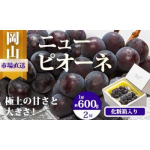 ふるさと納税 和気町 【令和8年発送・先行受付】岡山県産　ニューピオーネ(1房600g以上)2房　化粧箱入り　EE-64
