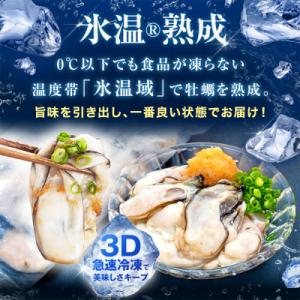 ふるさと納税 石巻市 宮城県産 かき 氷温熟成...の詳細画像2