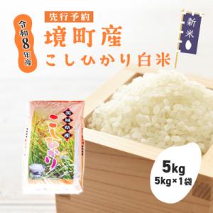 ふるさと納税 境町 米 コシヒカリ 5kg 令和8年産 国産 白米 茨城県 境町産 数量限定 こしひかり お米 おすすめ