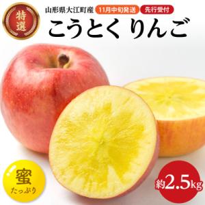 ふるさと納税 大江町 《先行受付》特選こうとくりんご約2.5kg 【2026年11月中旬頃〜発送予定】028-024