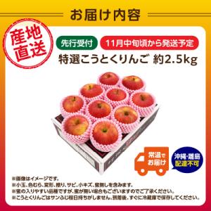 ふるさと納税 大江町 《先行受付》特選こうとく...の詳細画像1