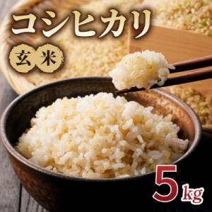 ふるさと納税 東御市 【新米予約】令和8年産 コシヒカリ玄米5kg|特A米 長野 ※2026年10月上旬以降順次発送