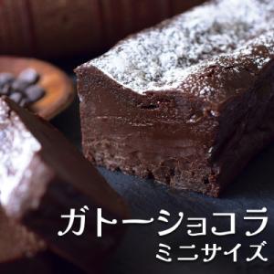 ふるさと納税 大月町 【小麦粉不使用】濃厚ガトーショコラ ミニ ベルギー産クーベルチュール しっとり...