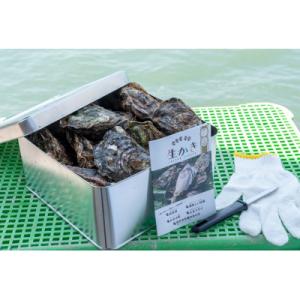 ふるさと納税 東広島市 カンカン焼きセット 広島 殻付き牡蠣  マルミ水産