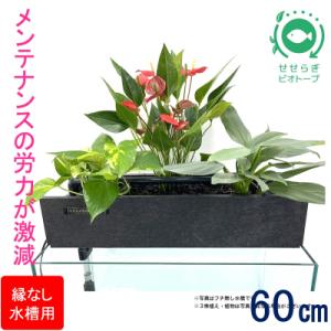 ふるさと納税 東広島市 せせらぎビオトープ　60cm型ろ過装置・縁なし水槽用(※水槽はついていません)