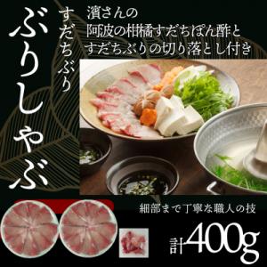 ふるさと納税 小松島市 徳島すだちぶり ぶりしゃぶセット 400g(濱さんのすだちポン酢・切り落と付...