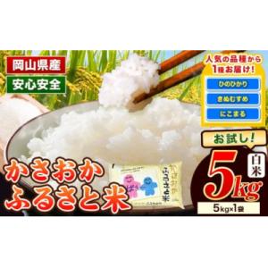 ふるさと納税 笠岡市 【令和8年2月発送】令和7年産 備中笠岡ふるさと米5kg