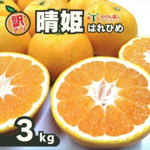 ふるさと納税 愛南町 訳あり 晴姫 はれひめ 3kg 果物 柑橘 みかん フルーツ みかん職人武田屋
