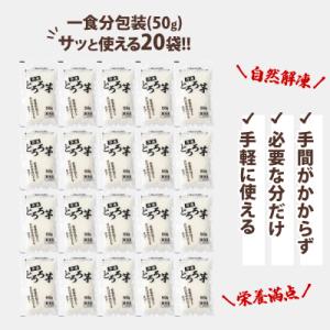 ふるさと納税 大館市 冷凍とろろ1キロセット(...の詳細画像2