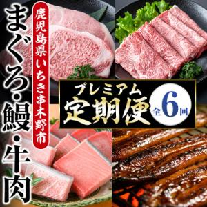 ふるさと納税 いちき串木野市 <6ヶ月定期便>いちき串木野プレミアム定期便(マグロ・鰻・牛肉)