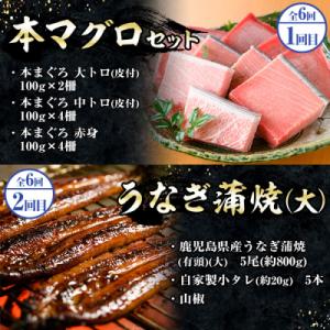 ふるさと納税 いちき串木野市 <6ヶ月定...の詳細画像1