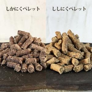 ふるさと納税 土佐清水市 12回定期便 無添加...の詳細画像2