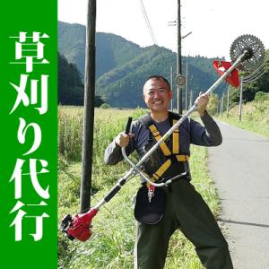 ふるさと納税 石巻市 空き地の草刈り代行(10坪単位)