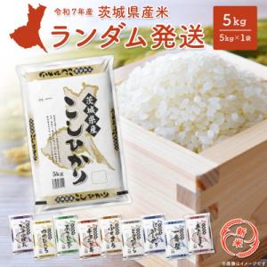 令和5年度コシヒカリ15kg茨城県産 先行予約 】 令和5年産 茨城県産 コシヒカリ 15kg （ 5kg × 3袋