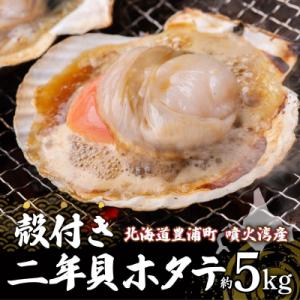 ふるさと納税 豊浦町 【先行受付】北海道 豊浦町 殻付き 2年貝 活ホタテ 約5kg TYUP002