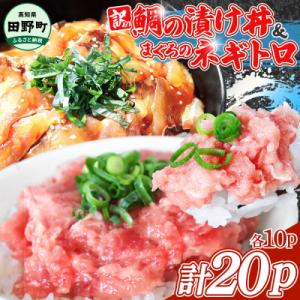 ふるさと納税 田野町 【四国一小さなまち】訳あり鯛の漬け丼 80g&amp;マグロのネギトロ 70g×各10...