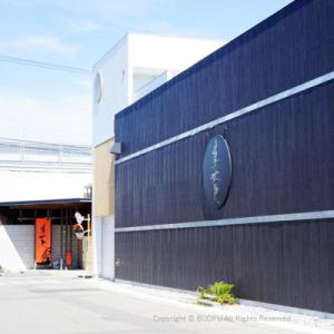 ふるさと納税 田野町 【四国一小さなまち】美丈...の詳細画像3