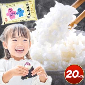 ふるさと納税 笠岡市 【令和8年7月発送】令和7年産 備中笠岡ふるさと米20kg