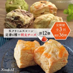 ふるさと納税 糸島市 【全3回定期便】 定番スコーン + 明太チーズスコーン 計12個セット 糸島市...